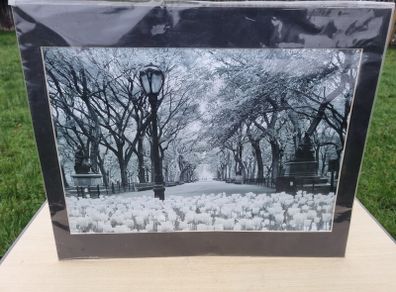 Large art photograph of Central Park in New York