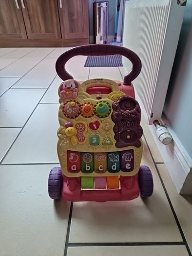 Vtech First Steps Baby Walker For Sale in Cork City Centre, Cork from ...