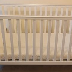 Cot