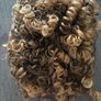 wig Image 2