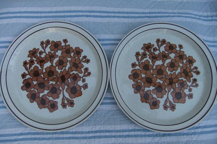 Arklow Pottery Rare Bridgid Pattern Plates x 2