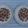 Arklow Pottery Rare Bridgid Pattern Plates x 2 Image 2