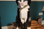 Lego Tuxedo Cat