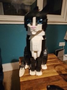 Lego Tuxedo Cat