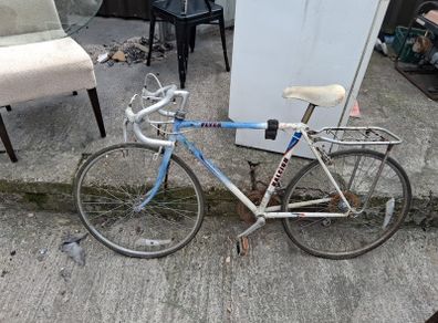 Raleigh Flyer