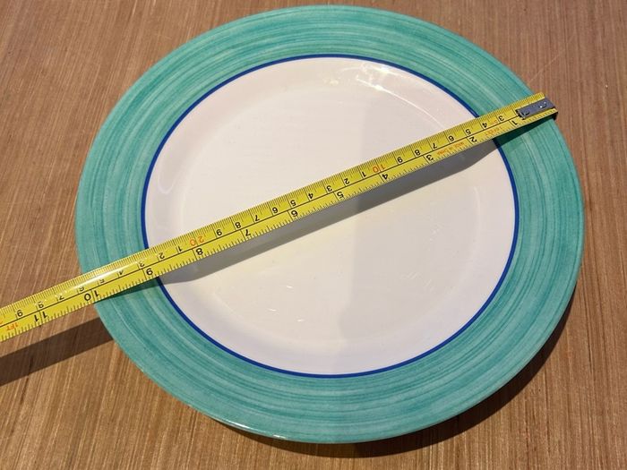 Melamine Dinner Plates (8)