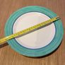 Melamine Dinner Plates (8) Image 3