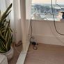 IKEA Desk White140x60cm Image 3