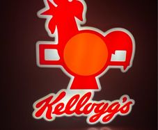 Kellogg's reflector style Lightbox