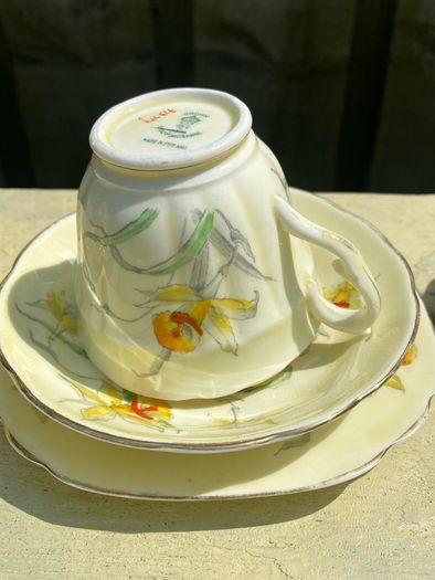 Tea Set vintage China Daffodil pale yellow