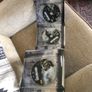 Band of Brothers - Complete series Image 4