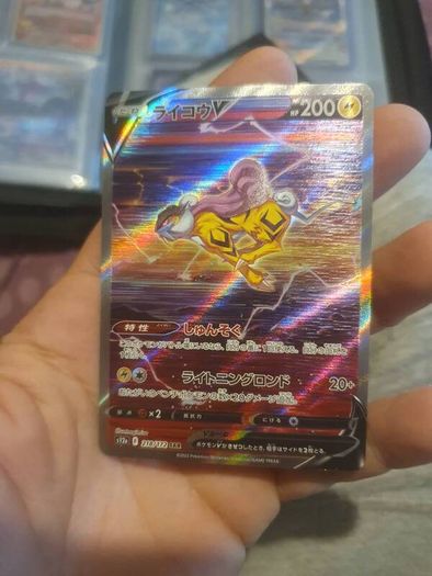 pokemon raikou