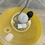 Covatutto 16 egg incubator Image 6