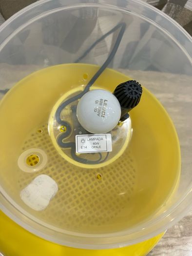 Covatutto 16 egg incubator