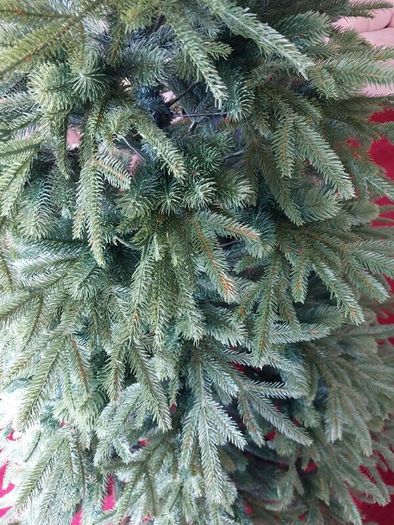 Full PE 7ft Super Realistic Artificial Christmas