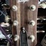 Acoustics guitar Image 8