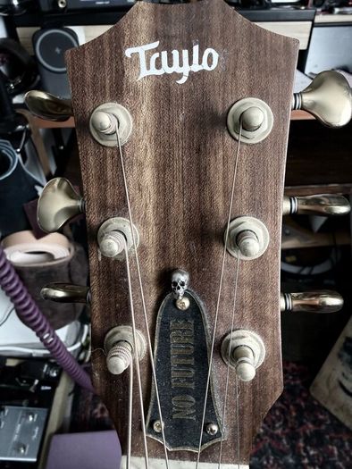 Acoustics guitar