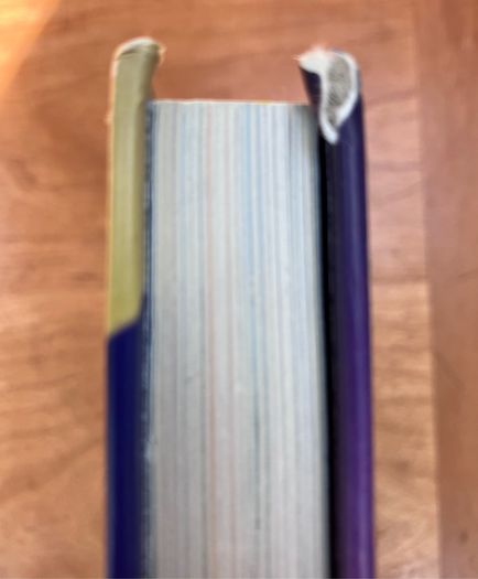 Dogman, 20,000 Fleas Under The Sea (Damaged)by Dav Pilkey