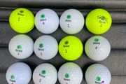 (12) Mixed seed golf balls