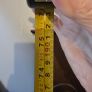 Antique coat stand Image 9