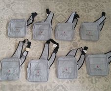 ps1