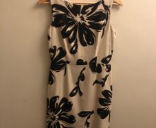Hobbs dress (size 10)