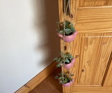 Decoration - hanging artificial plant for kitchen