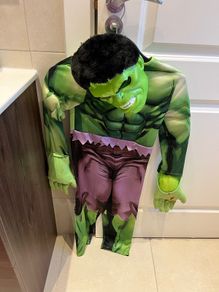Hulk costume and mask -  5-6 year old