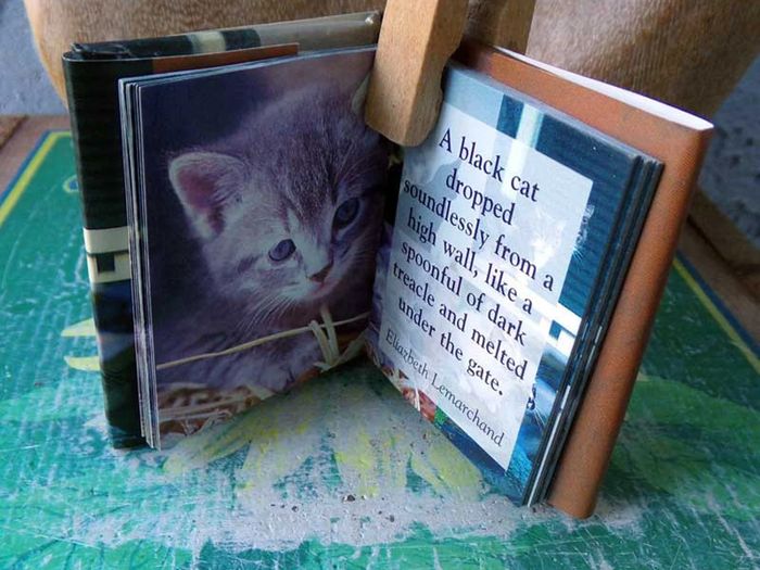 Cat Lovers Quotations For Fans of Our Feline Friends, miniature cat book