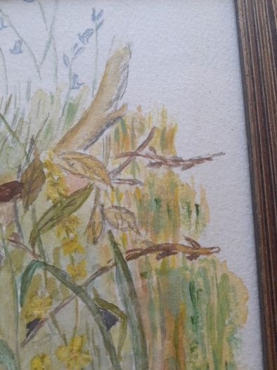 Watercolour.