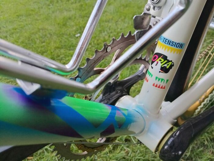Pinarello Treviso Italia 56cm 10 sp Campy Record