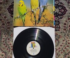 Rain Parade: Beyond The Sunset LP