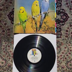 Rain Parade: Beyond The Sunset LP