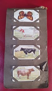 Cigarette Cards from the 1920s,Gallaghers / Players