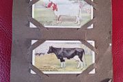 Cigarette Cards from the 1920s,Gallaghers / Players