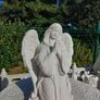 garden Image 2