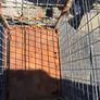 Roller cage trolley Image 4