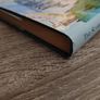 The Scarecrow And His Servant ! by Philip Pullman ! Hardcover ! 2004 ! by Doubleday ! Image 7
