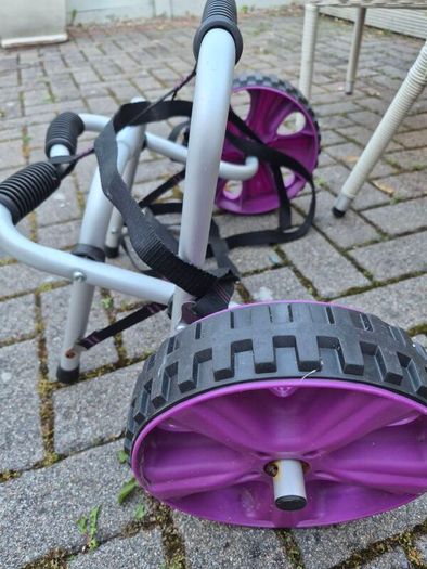Universal Kayak/Canoe Trolley