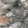 Christmas trees. Image 4