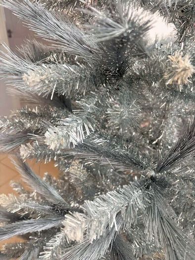 Christmas trees.