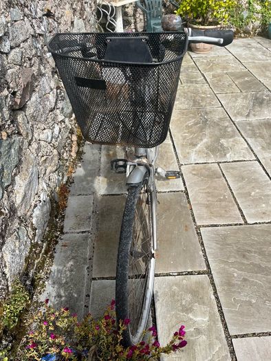 ladies Silver Bike