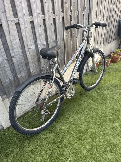 Giant Rock mountain bike
