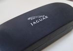 Glasses case