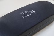 Glasses case