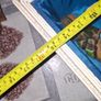 Antique Mid Century Catholic Altar Shadow Box Our Lady of Lourdes & St. Bernadette Postage available or Collection Image 6