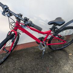 Kids bike - Carrera Saruna Junior
