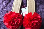 Ladies Sandals