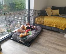 Dog Crate