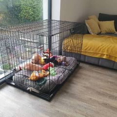 Dog Crate